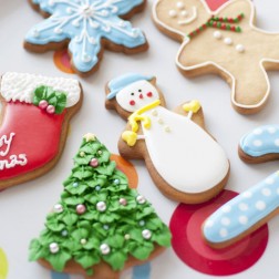 Christmas Cookie Cutter & Decoration Set