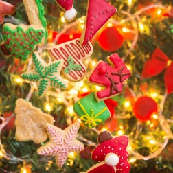 Edible Christmas Cookie Decoration Kit