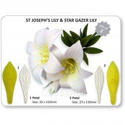 Jem St Josephs Lily & Star Gazer lily Set 2