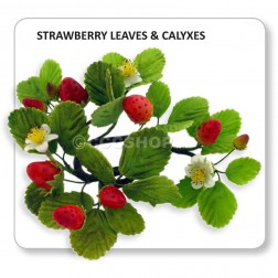 Jem Strawberry Leaves & Calyxes Set of 4