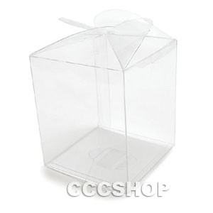 Clear Acetate Cake Box 9 x 11 cm