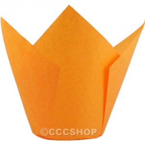 12 Orange Muffin Wrappers