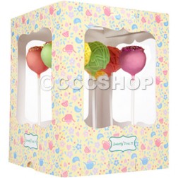 Pack of 2 Patterned Cake Pop Boxes