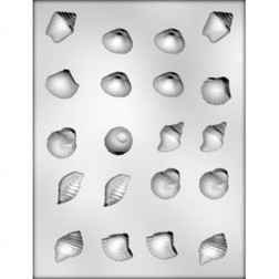Assorted Sea Shell Mould