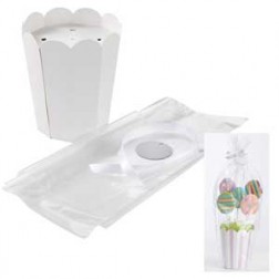 Pops Flower Pot Kit