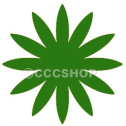 Extra Foliage Green Food Colouring