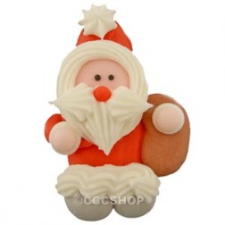 Icing Santa