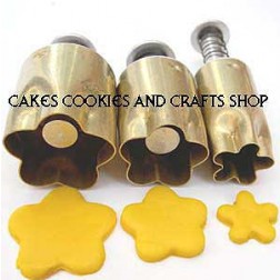 Large set of 3 Flower Plunger Cutters