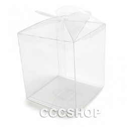 Clear Acetate Cake Box 9 x 11 cm
