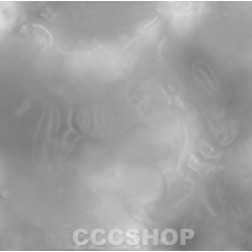 Silver Foil Wrappers 10cm