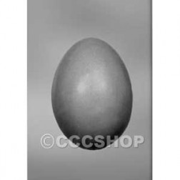 Smooth Giant 3D  Easter Egg Mould