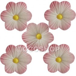Pink Daisy Cupcake Decorations