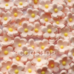 Mini Peach Sugar Flowers