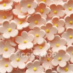 Peach Sugar Flowers