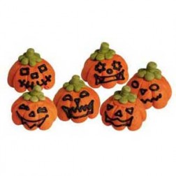 Pack of 6 Sugar Pumpkin