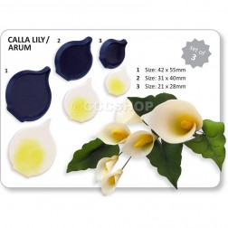 Jem Arum/Calla Lily Set of 3
