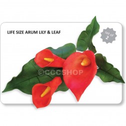 Jem Arum Lily & Leaf Life Size