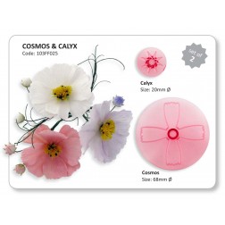 Jem Cosmos and Calyx Set of 2