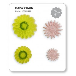 Jem Daisy Chain