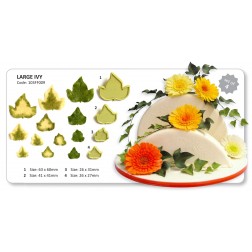 Jem Large Ivy Set of 4