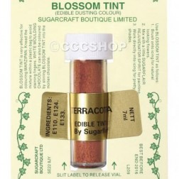 Terracotta Blossom Tint