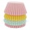 Pastel Mini Muffin Cake Cases