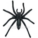 16 Spider Ring Cake Decoration